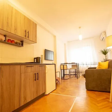 Yellow Circles Apt. On Great Location New * Novi Sad